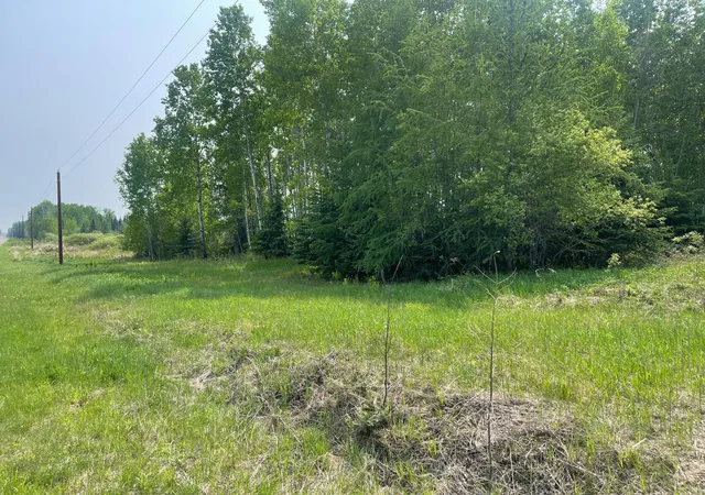 Homes for sale in Floodwood, MN | 8017 N Savanna Rd, Floodwood, MN 55736 | MLS# 6823662