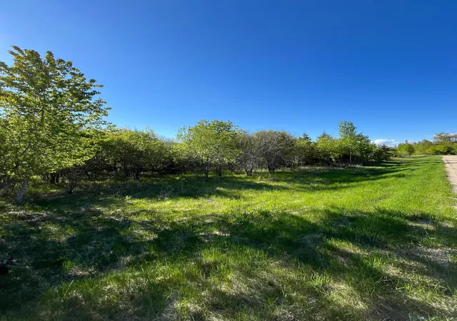Homes for sale in Warroad, MN | Lot 4   Tbd 330th St, Warroad, MN 56763 | MLS# 6823904