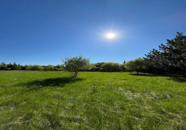 Homes for sale in Warroad, MN | Lot 4   Tbd 330th St, Warroad, MN 56763 | MLS# 6823904