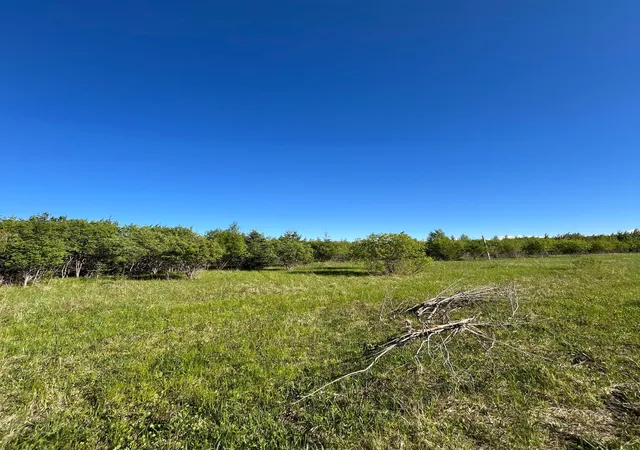 Homes for sale in Warroad, MN | Lot 4 - Tbd 330Th St, Warroad, MN 56763 | MLS# 6823904