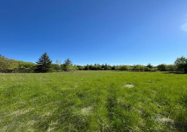 Homes for sale in Warroad, MN | Lot 4 - Tbd 330Th St, Warroad, MN 56763 | MLS# 6823904