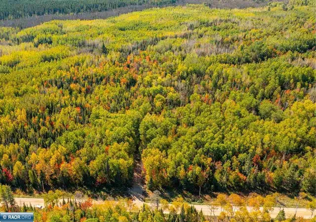 16th image of Tbd Vermilion Lake Rd, Cook, MN 55723 | MLS# 6824372