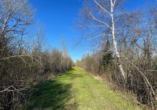 Homes for sale in Floodwood, MN | 508 Cedar Valley Rd, Floodwood, MN 55736 | MLS# 6824899