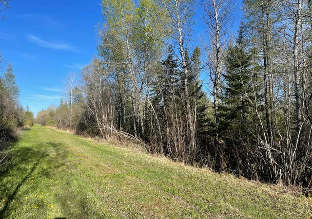 Homes for sale in Floodwood, MN | 508 Cedar Valley Rd, Floodwood, MN 55736 | MLS# 6824899