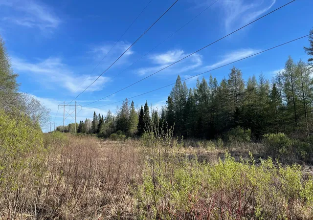 Homes for sale in Floodwood, MN | 508 Cedar Valley Rd, Floodwood, MN 55736 | MLS# 6824899