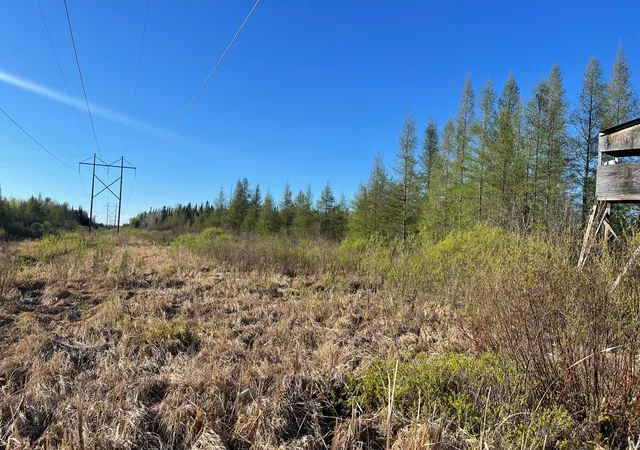 Homes for sale in Floodwood, MN | 508 Cedar Valley Rd, Floodwood, MN 55736 | MLS# 6824899