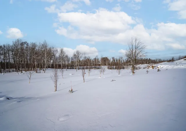 Homes for sale in Hermantown, MN | 42xb Stebner Rd, Hermantown, MN 55811 | MLS# 6825239