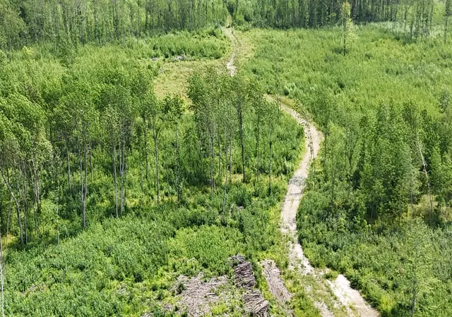 Photo 1 of Land for sale at 17 E County Rd, Mizpah, MN 56660 | MLS# 6826228 | Listing updated on 2026-09-01