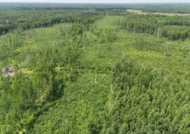 Photo 2 of Land for sale at 17 E County Rd, Mizpah, MN 56660 | MLS# 6826228 | Listing updated on 2026-09-01