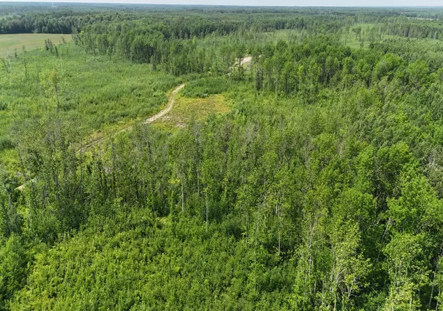 Photo 3 of Land for sale at 17 E County Rd, Mizpah, MN 56660 | MLS# 6826228 | Listing updated on 2026-09-01