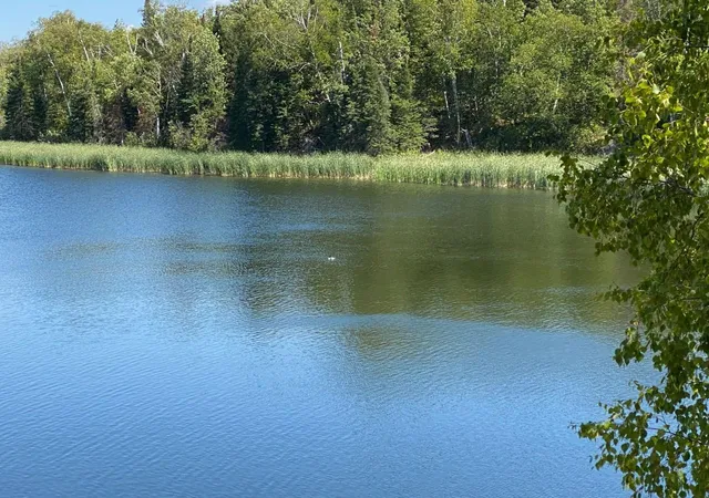 Photo 2 of Land for sale at 49954 209th Avenue, Clearbrook, MN 56634 | MLS# 6826641 | Listing updated on 2026-08-10