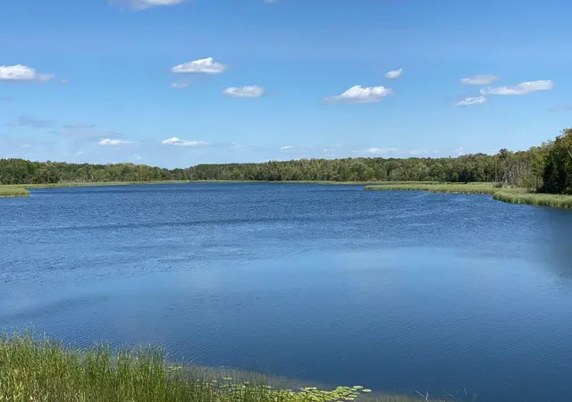 Photo 3 of Land for sale at 49954 209th Avenue, Clearbrook, MN 56634 | MLS# 6826641 | Listing updated on 2026-08-10