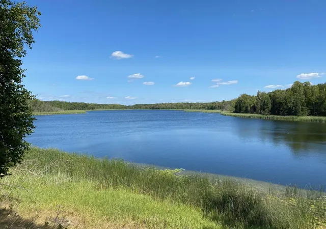 Photo 3 of Land for sale at 49954 209th Avenue, Clearbrook, MN 56634 | MLS# 6826641 | Listing updated on 2026-08-10