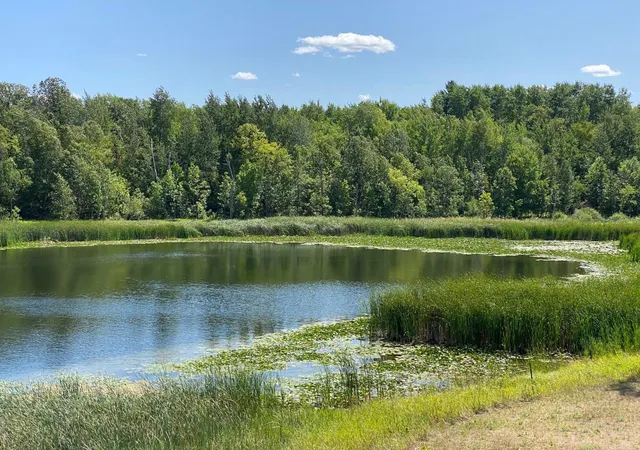 Photo 4 of Land for sale at 49954 209th Avenue, Clearbrook, MN 56634 | MLS# 6826641 | Listing updated on 2026-08-10