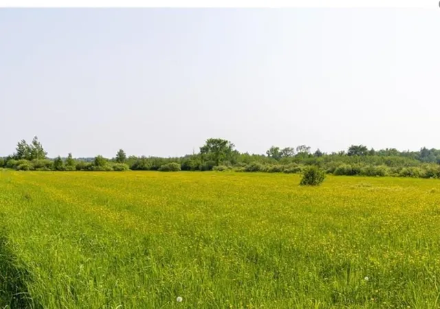 Homes for sale in Conrath, WI | W74Tbd Homestead Rd, Conrath, WI 54731 | MLS# 6826805