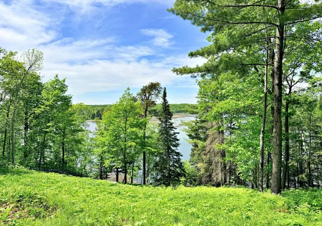 Homes for sale in Lake George, MN | 36155 New Melahn Dr, Lake George, MN 56458 | MLS# 7000113