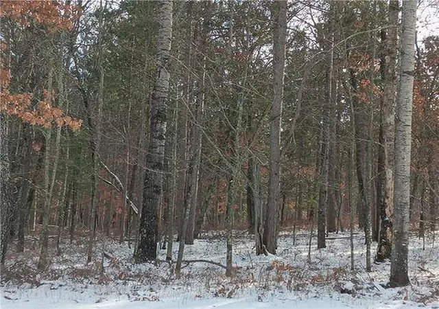 14th image of Lot 26 Deer Lodge Trail Way, Danbury, WI 54830 | MLS# 7000944