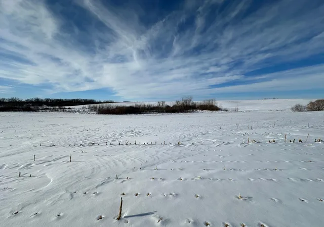 Photo 4 of Land for sale at Tbd Co Hwy 10, Fergus Falls, MN 56537 | MLS# 7001350 | Listing updated on 2026-05-27
