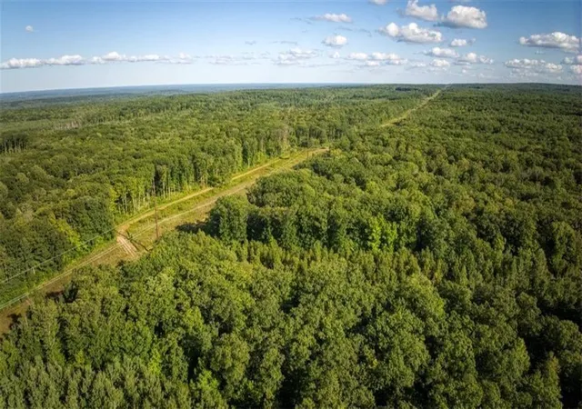 Homes for sale in Exeland, WI | Block 1 Comet Rd, Exeland, WI 54835 | MLS# 7002018