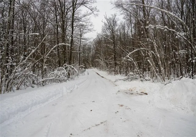 Homes for sale in Exeland, WI | Block 8 Comet Rd, Exeland, WI 54835 | MLS# 7002391