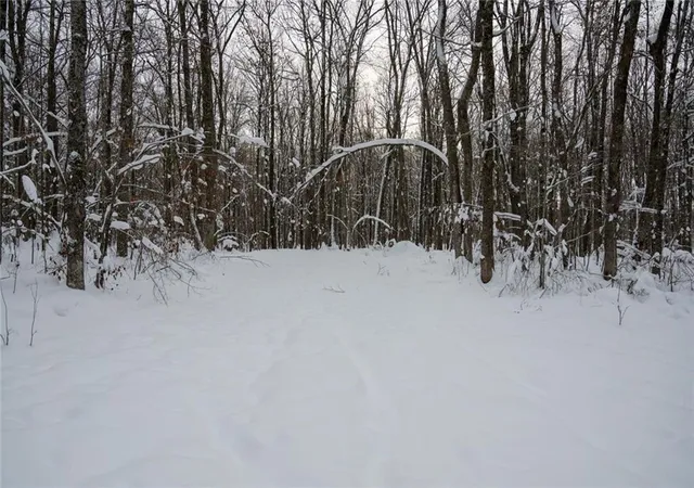 Homes for sale in Exeland, WI | Block 9 Comet Rd, Exeland, WI 54835 | MLS# 7002401