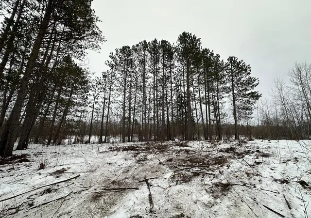 2nd image of Tbd #1 Koecher Rd, Kerrick, MN 55756 | MLS# 7002694