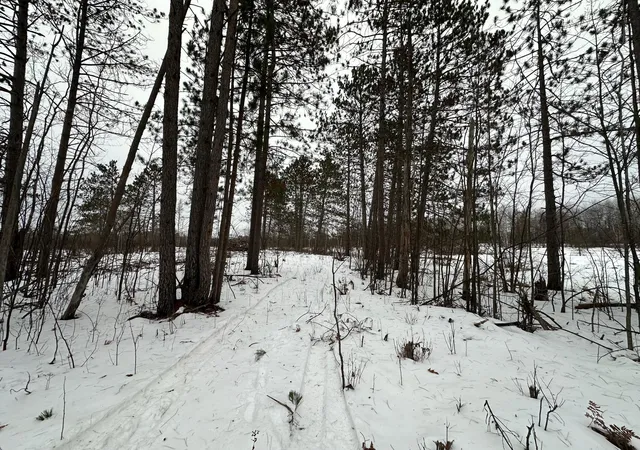 3rd image of Tbd #1 Koecher Rd, Kerrick, MN 55756 | MLS# 7002694