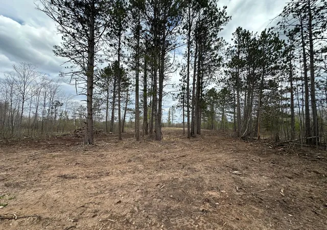 Photo 3 of Land for sale at Tbd #1 Koecher Rd, Kerrick, MN 55756 | MLS# 7002694 | Listing updated on 2026-08-05