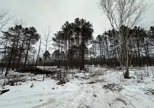 4th image of Tbd #1 Koecher Rd, Kerrick, MN 55756 | MLS# 7002694