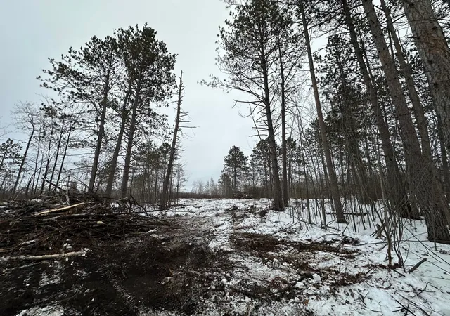 5th image of Tbd #1 Koecher Rd, Kerrick, MN 55756 | MLS# 7002694