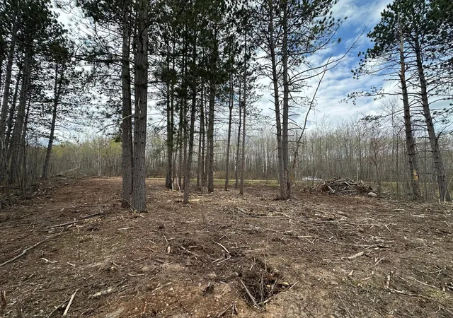 Photo 4 of Land for sale at Tbd #1 Koecher Rd, Kerrick, MN 55756 | MLS# 7002694 | Listing updated on 2026-08-05