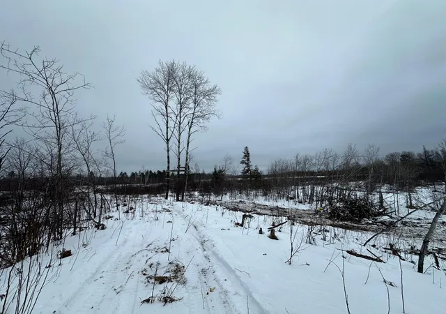 1st image of Tbd #2 Koecher Rd, Kerrick, MN 55756 | MLS# 7002696