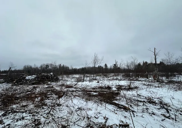 2nd image of Tbd #2 Koecher Rd, Kerrick, MN 55756 | MLS# 7002696