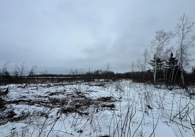 3rd image of Tbd #2 Koecher Rd, Kerrick, MN 55756 | MLS# 7002696