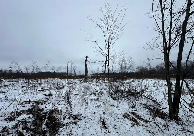 4th image of Tbd #2 Koecher Rd, Kerrick, MN 55756 | MLS# 7002696
