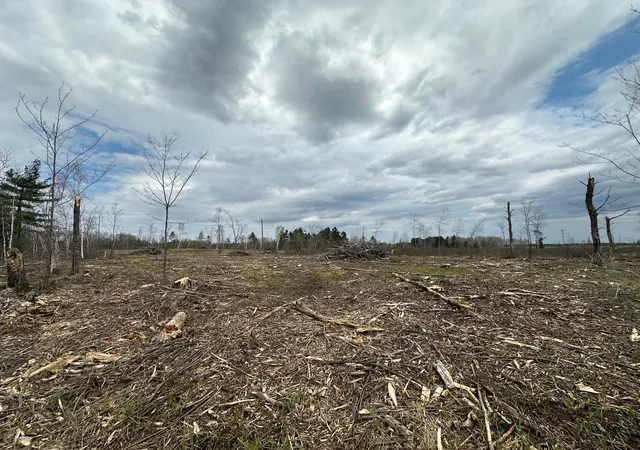 Photo 3 of Land for sale at Tbd #2 Koecher Rd, Kerrick, MN 55756 | MLS# 7002696 | Listing updated on 2026-08-04