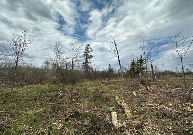 Photo 4 of Land for sale at Tbd #2 Koecher Rd, Kerrick, MN 55756 | MLS# 7002696 | Listing updated on 2026-08-04
