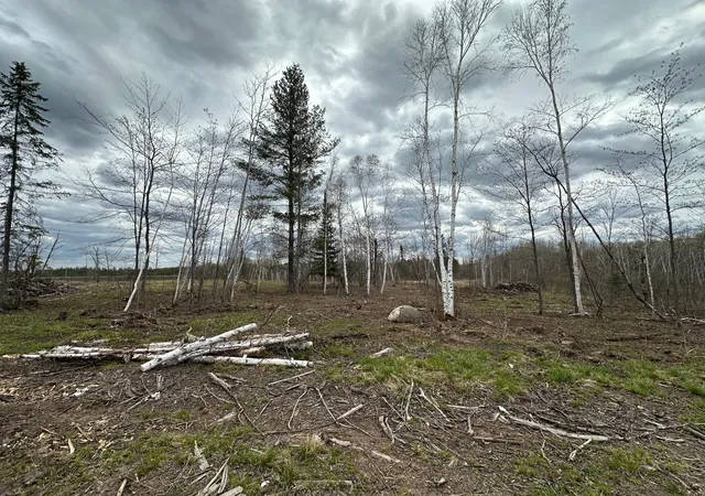 Photo 1 of Land for sale at Tbd #3 Koecher Rd, Kerrick, MN 55756 | MLS# 7002698 | Listing updated on 2026-08-04