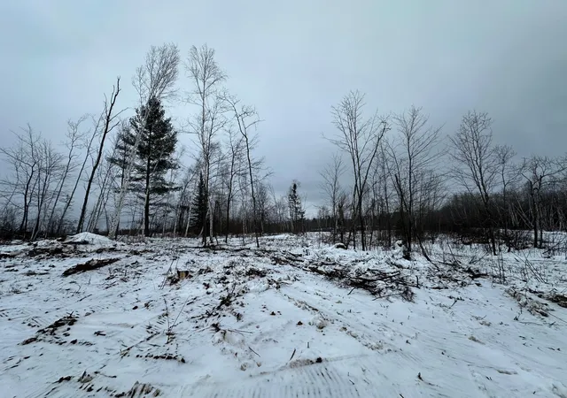2nd image of Tbd #3 Koecher Rd, Kerrick, MN 55756 | MLS# 7002698