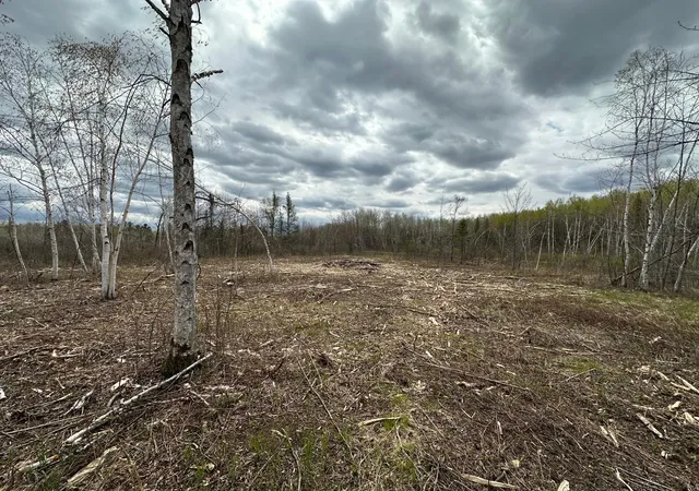 Photo 4 of Land for sale at Tbd #3 Koecher Rd, Kerrick, MN 55756 | MLS# 7002698 | Listing updated on 2026-08-04