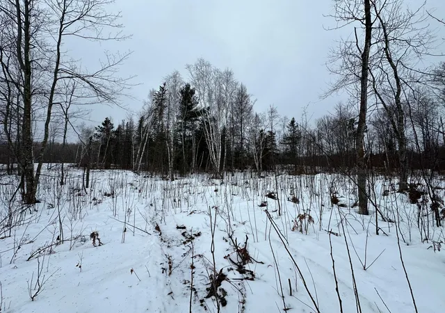 3rd image of Tbd #4 Koecher Rd, Kerrick, MN 55756 | MLS# 7002700