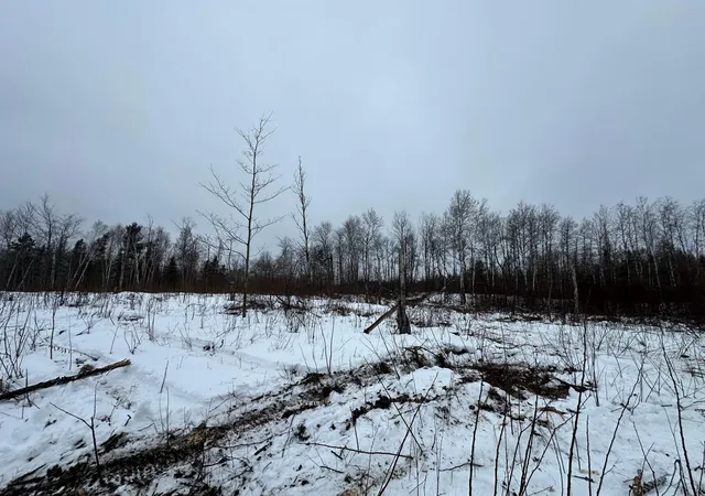 4th image of Tbd #4 Koecher Rd, Kerrick, MN 55756 | MLS# 7002700