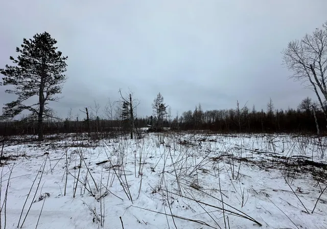 5th image of Tbd #4 Koecher Rd, Kerrick, MN 55756 | MLS# 7002700