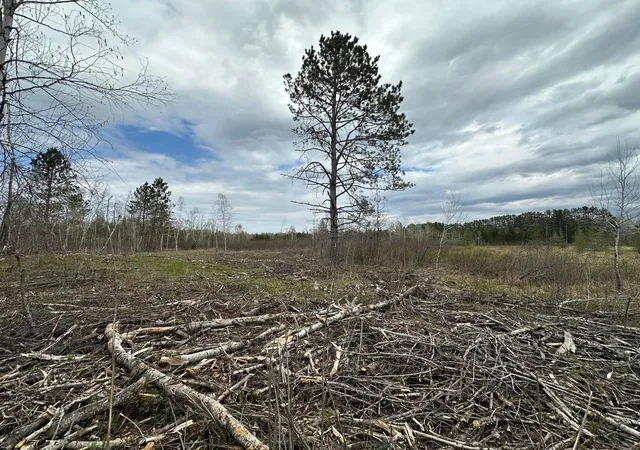 Photo 4 of Land for sale at Tbd #4 Koecher Rd, Kerrick, MN 55756 | MLS# 7002700 | Listing updated on 2026-08-04