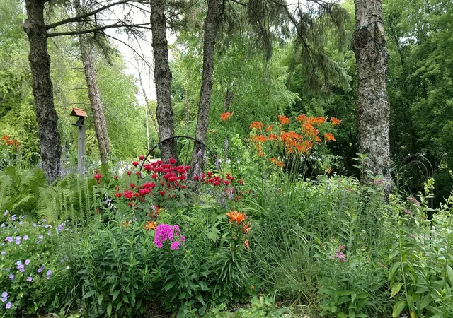 3rd image of 2945 County Hwy 4 #518 Sw, Cokato, MN 55321 | MLS# 7003529