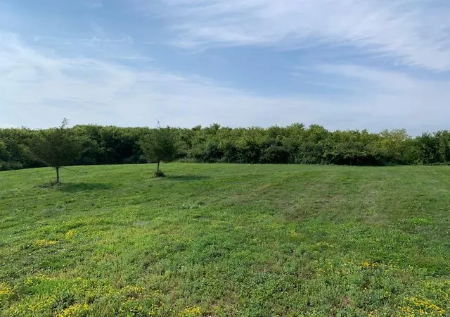 5th image of 2906 Serenity Ln Ne, Rochester, MN 55906 | MLS# 7005004