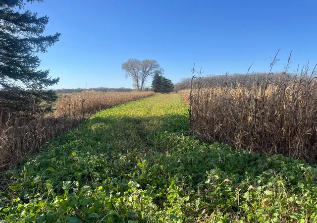 Homes for sale in Saint Joseph Twp, MN | Tbd County Road 3, Saint Joseph Twp, MN 56374 | MLS# 7005064