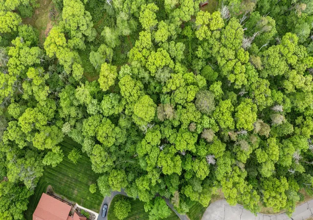 4th image of Tbd Gordon Cir, Crosslake, MN 56442 | MLS# 7005516