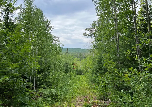 Photo 2 of Land for sale at 86640 N S Pratt Rd, Bayfield, WI 54814 | MLS# 7005858 | Listing updated on 2026-04-14