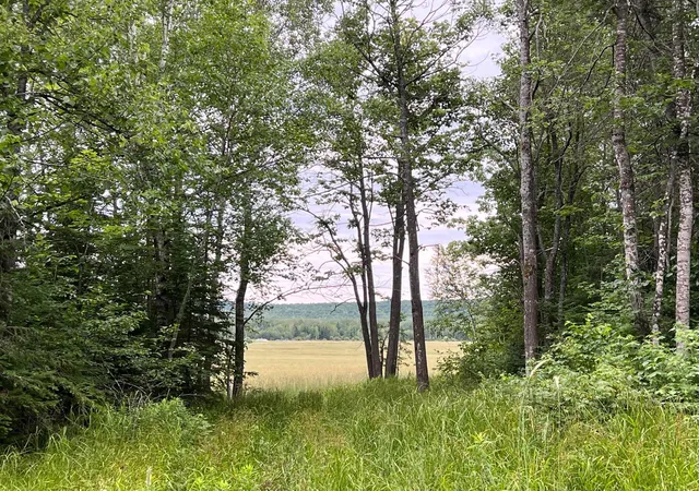 Photo 4 of Land for sale at 86640 N S Pratt Rd, Bayfield, WI 54814 | MLS# 7005858 | Listing updated on 2026-04-14